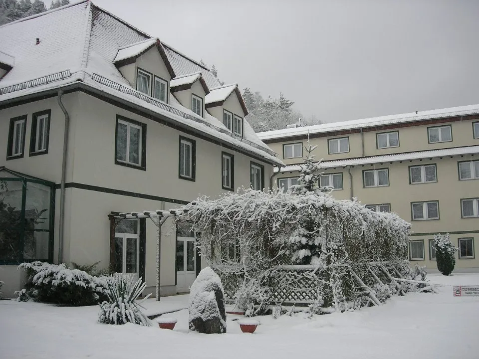 Schneebedecktes Haus mit einem Gartenpavillon und Bäumen im Winter.